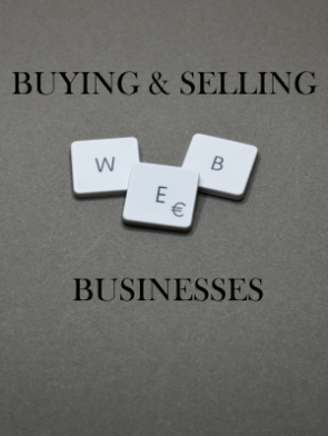 Buying-_-Selling-Web-Businesses.png