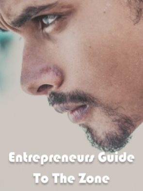 Entrepreneurs-Guide-To-The-Zone.png
