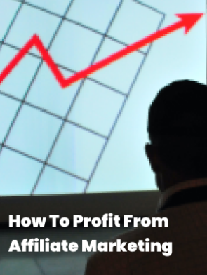 How-To-Profit-From-Affiliate-Marketing-Video.png