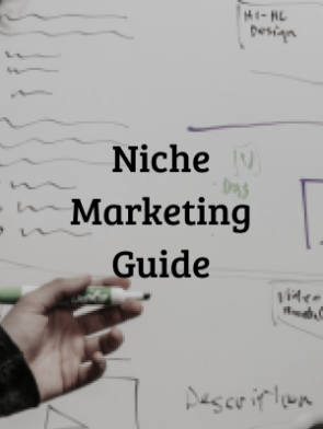 Niche-Marketing-Guide.png