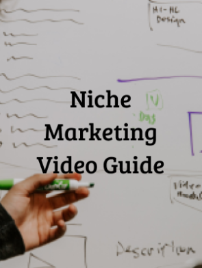 Niche-Marketing-Video-Guide.png